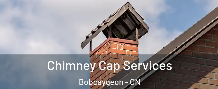  Chimney Cap Services Bobcaygeon - ON
