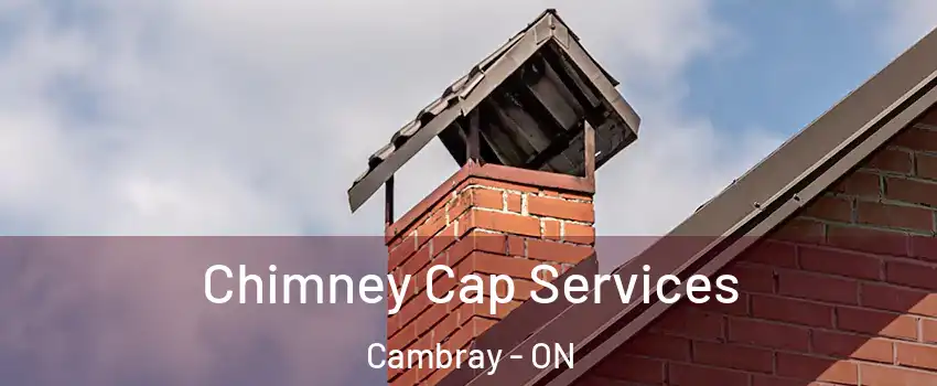  Chimney Cap Services Cambray - ON
