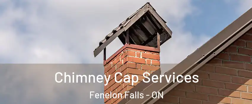  Chimney Cap Services Fenelon Falls - ON