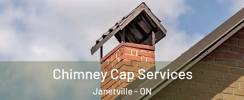  Chimney Cap Services Janetville - ON
