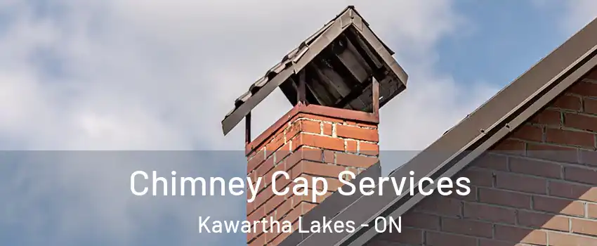  Chimney Cap Services Kawartha Lakes - ON