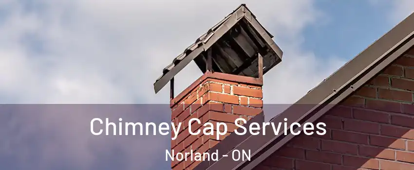  Chimney Cap Services Norland - ON
