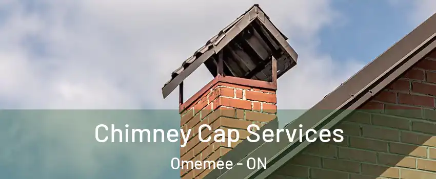  Chimney Cap Services Omemee - ON