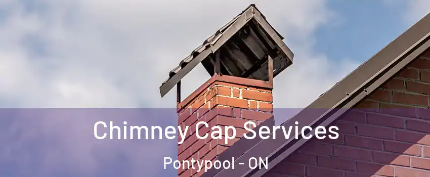  Chimney Cap Services Pontypool - ON