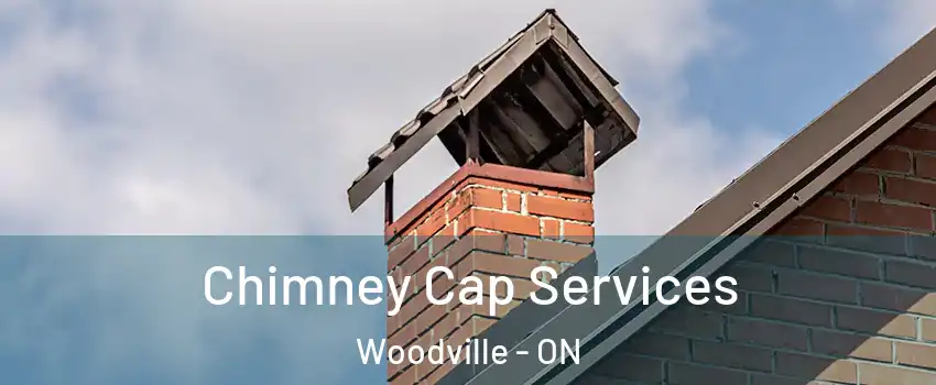  Chimney Cap Services Woodville - ON