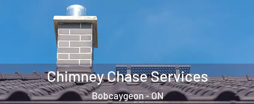  Chimney Chase Services Bobcaygeon - ON