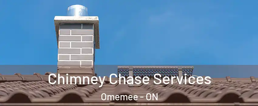  Chimney Chase Services Omemee - ON