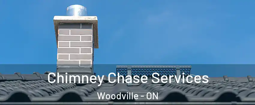  Chimney Chase Services Woodville - ON