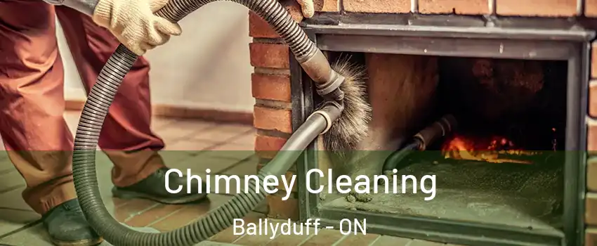  Chimney Cleaning Ballyduff - ON
