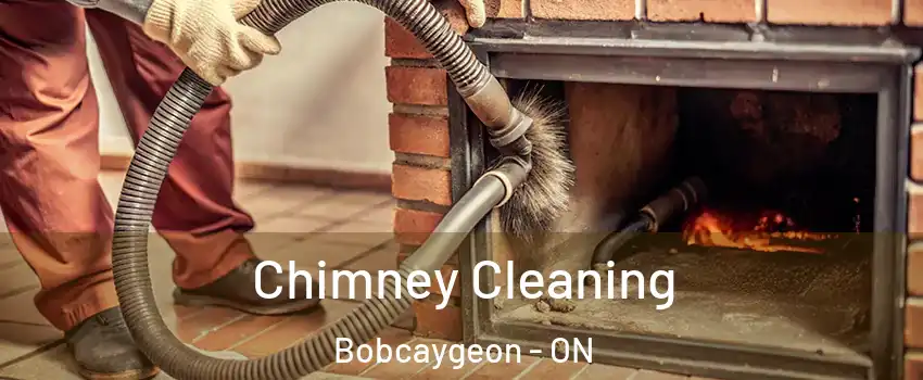  Chimney Cleaning Bobcaygeon - ON