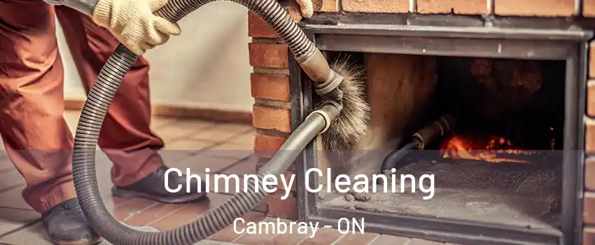  Chimney Cleaning Cambray - ON