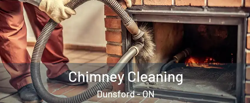  Chimney Cleaning Dunsford - ON