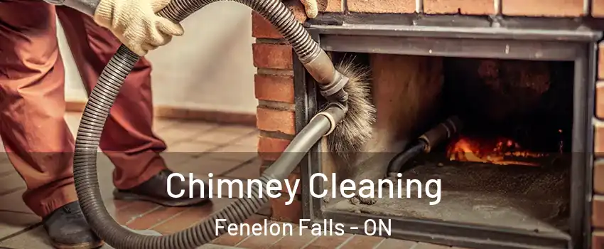  Chimney Cleaning Fenelon Falls - ON