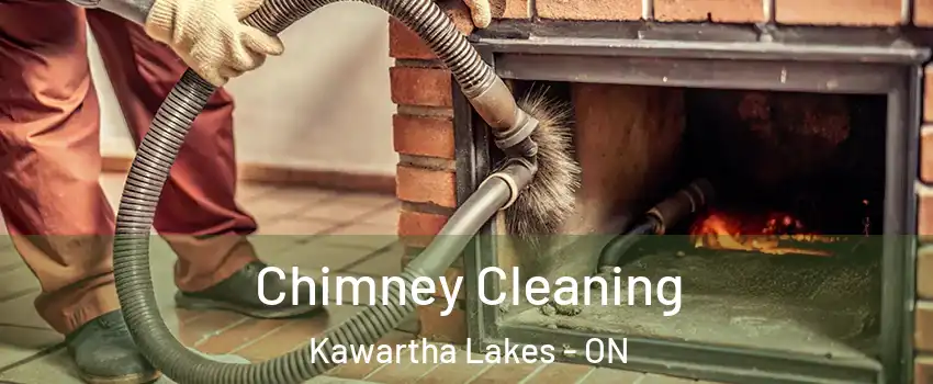  Chimney Cleaning Kawartha Lakes - ON