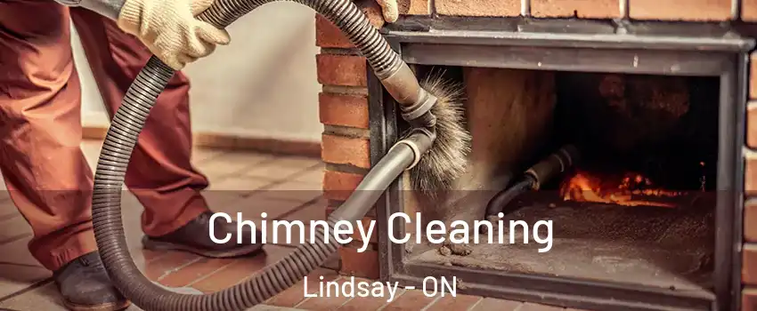  Chimney Cleaning Lindsay - ON