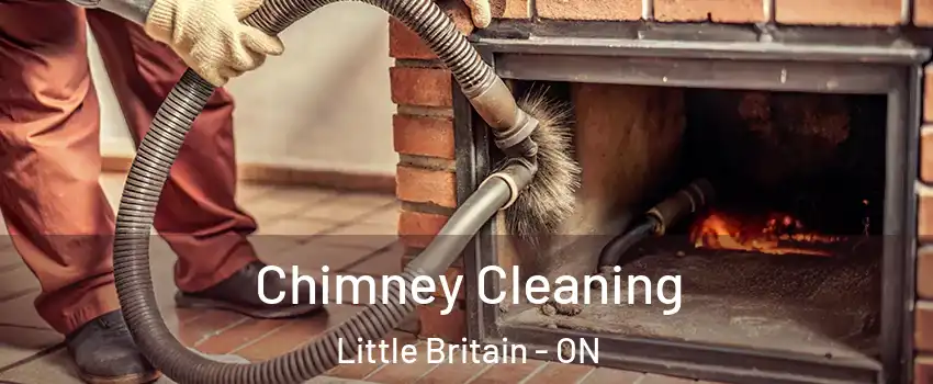  Chimney Cleaning Little Britain - ON