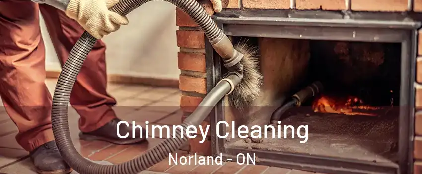  Chimney Cleaning Norland - ON