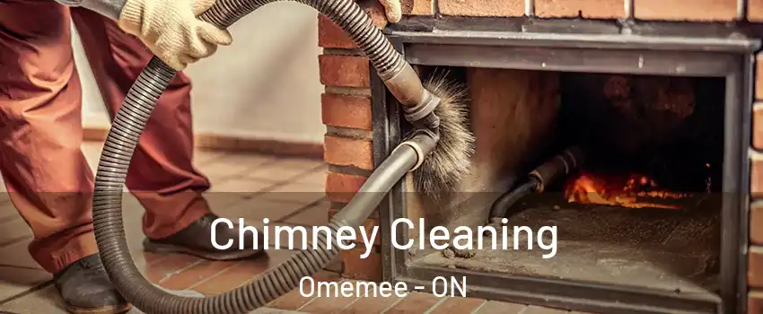  Chimney Cleaning Omemee - ON