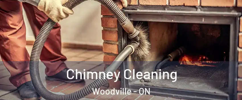 Chimney Cleaning Woodville - ON
