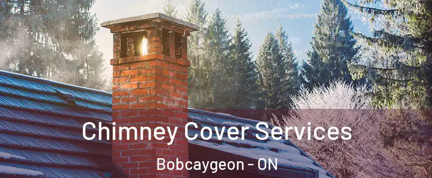  Chimney Cover Services Bobcaygeon - ON