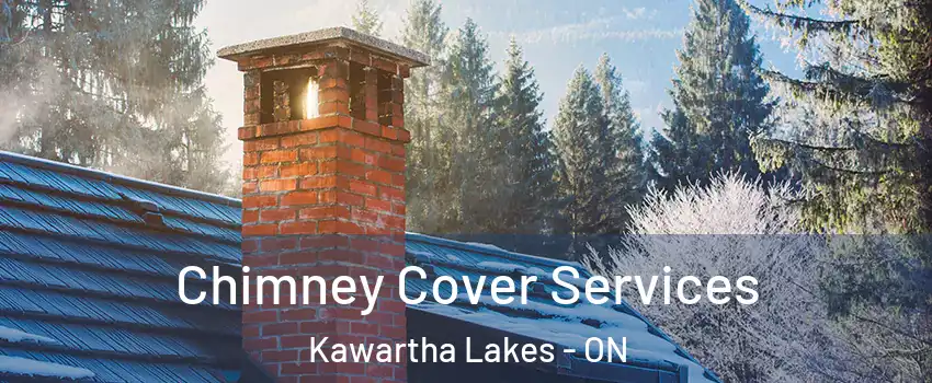  Chimney Cover Services Kawartha Lakes - ON