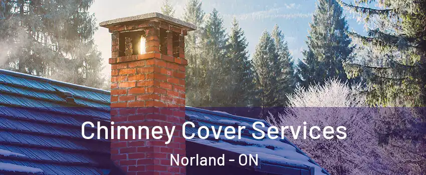  Chimney Cover Services Norland - ON