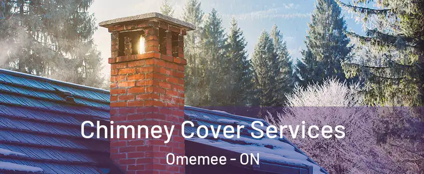  Chimney Cover Services Omemee - ON