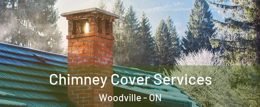 Chimney Cover Services Woodville - ON