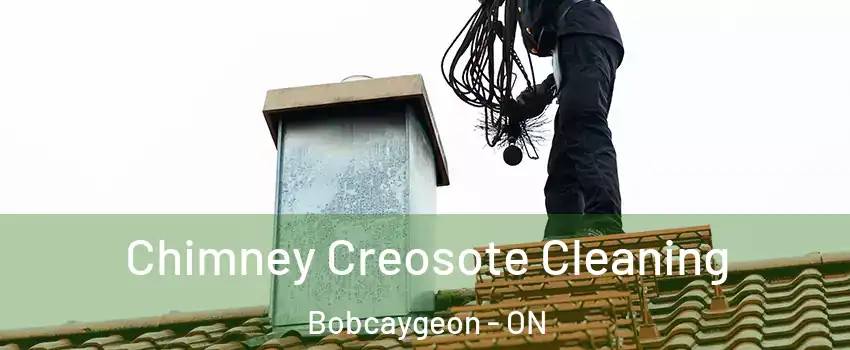  Chimney Creosote Cleaning Bobcaygeon - ON