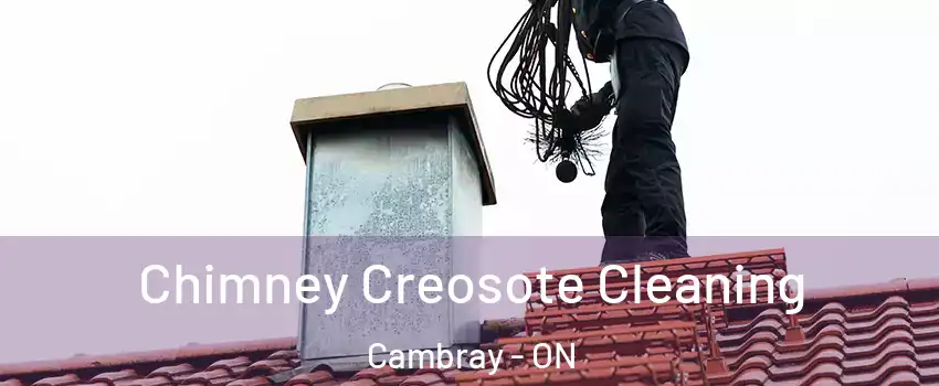  Chimney Creosote Cleaning Cambray - ON