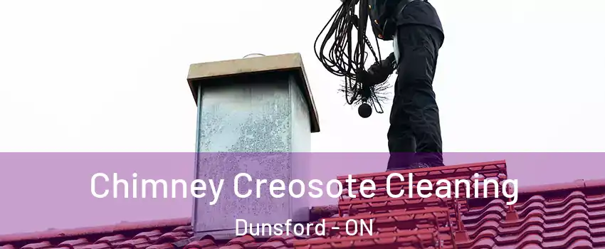  Chimney Creosote Cleaning Dunsford - ON