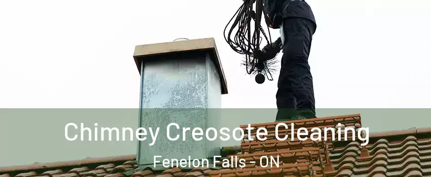  Chimney Creosote Cleaning Fenelon Falls - ON