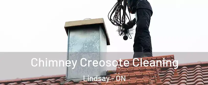  Chimney Creosote Cleaning Lindsay - ON