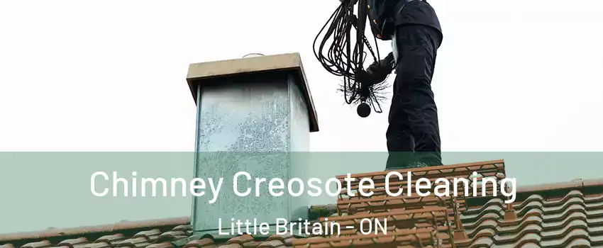  Chimney Creosote Cleaning Little Britain - ON
