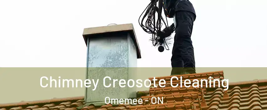  Chimney Creosote Cleaning Omemee - ON