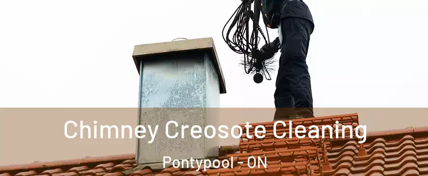  Chimney Creosote Cleaning Pontypool - ON