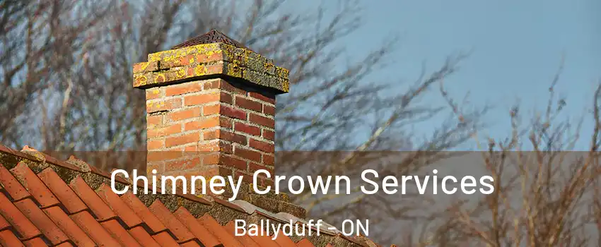  Chimney Crown Services Ballyduff - ON