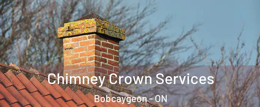  Chimney Crown Services Bobcaygeon - ON