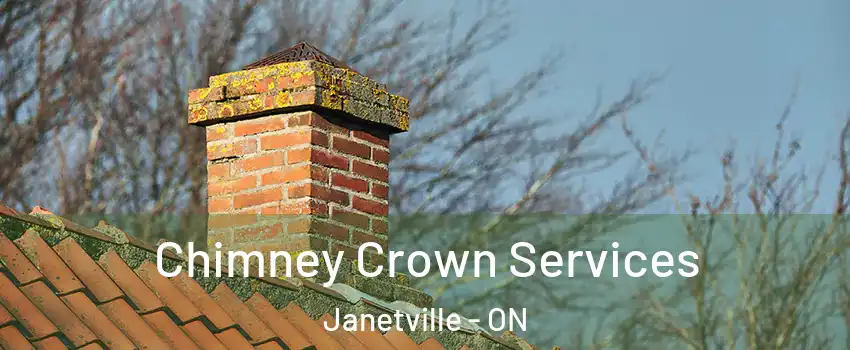  Chimney Crown Services Janetville - ON