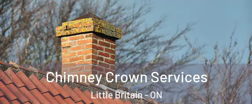  Chimney Crown Services Little Britain - ON