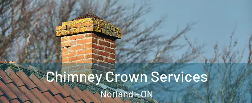  Chimney Crown Services Norland - ON