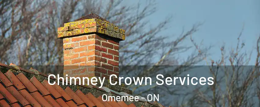  Chimney Crown Services Omemee - ON