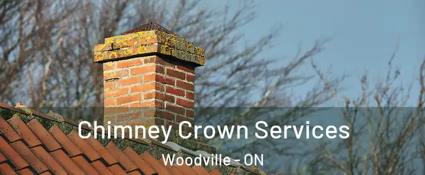  Chimney Crown Services Woodville - ON