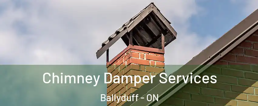  Chimney Damper Services Ballyduff - ON