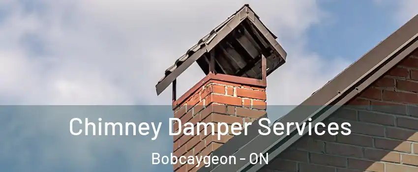  Chimney Damper Services Bobcaygeon - ON
