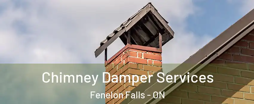  Chimney Damper Services Fenelon Falls - ON