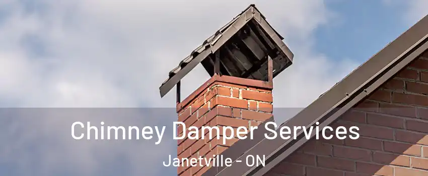  Chimney Damper Services Janetville - ON