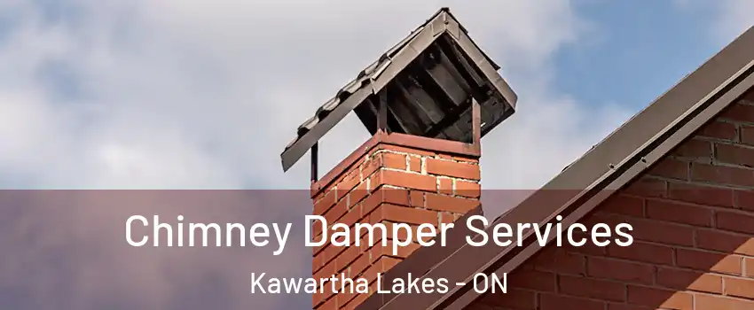  Chimney Damper Services Kawartha Lakes - ON