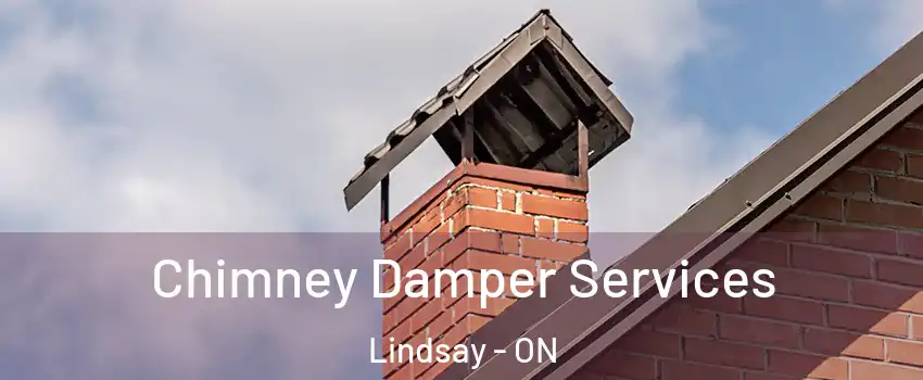  Chimney Damper Services Lindsay - ON