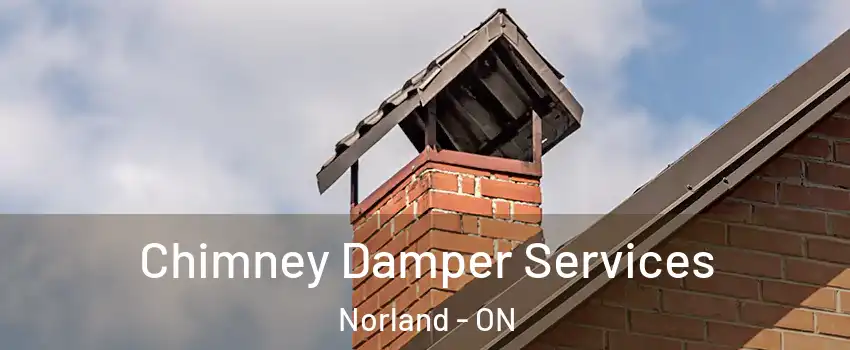  Chimney Damper Services Norland - ON